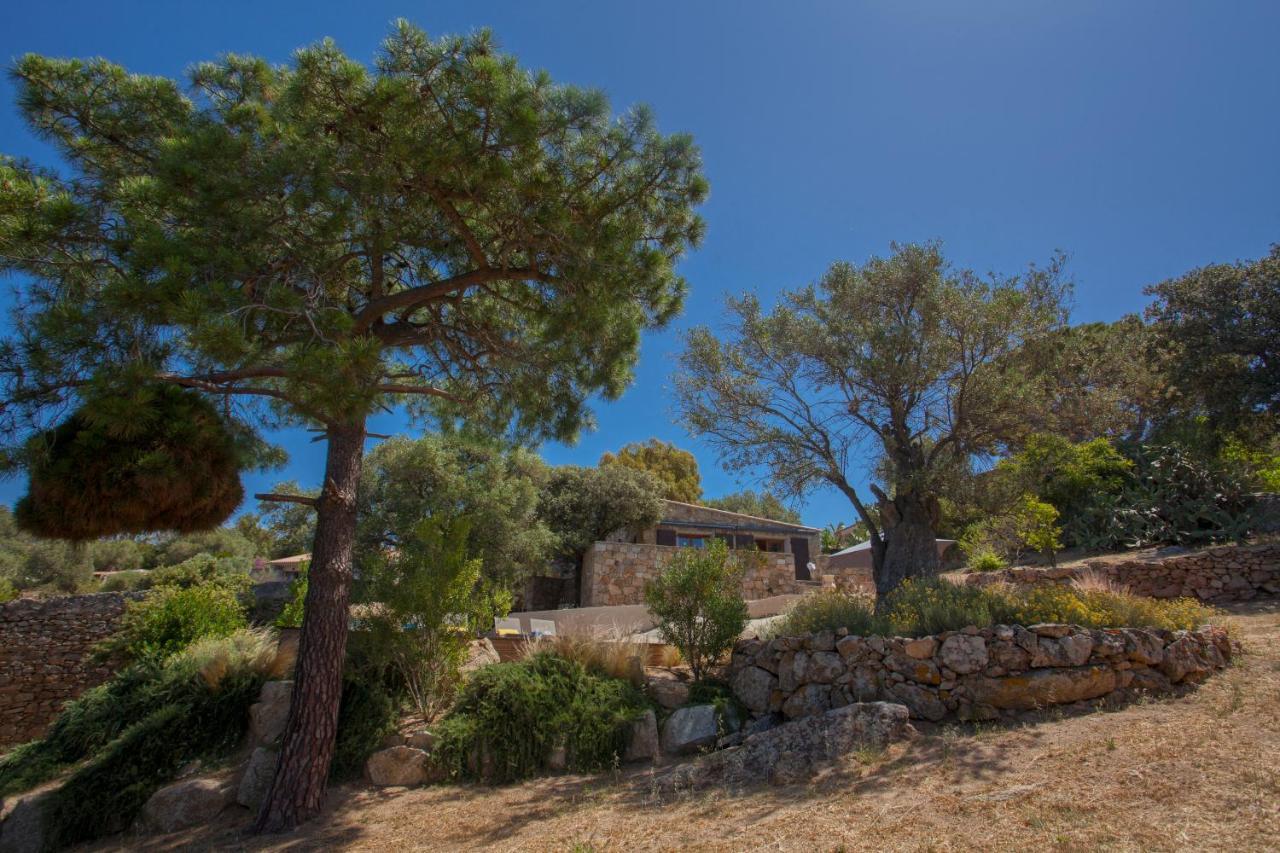 Villa Bodri, Maison En Pierre Avec Vue Mer Et Piscine Chauffee LʼÎle-Rousse المظهر الخارجي الصورة